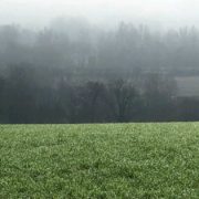 IMG 0527