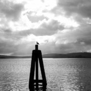bodega bay