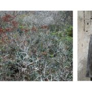 beatrice matet passage 9
