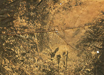 Galerie Trait d'Union 6 Patrice Dion - PAN et caetera - Monferran-Savès