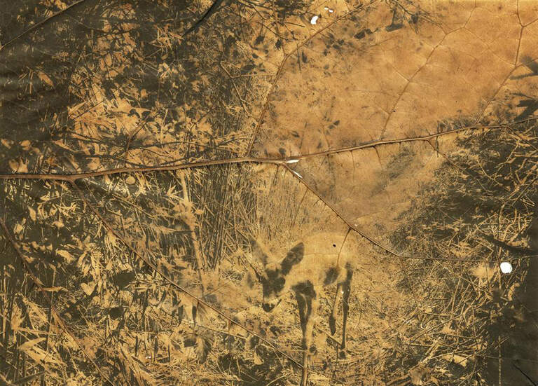 Galerie Trait d'Union 4 Patrice Dion - PAN et caetera - Monferran-Savès